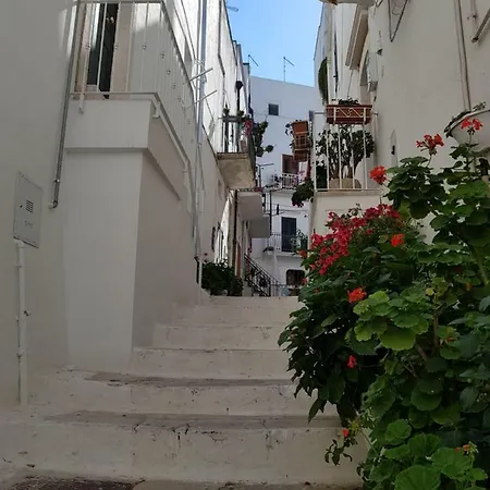 Marina Di Ostuni Apartamento